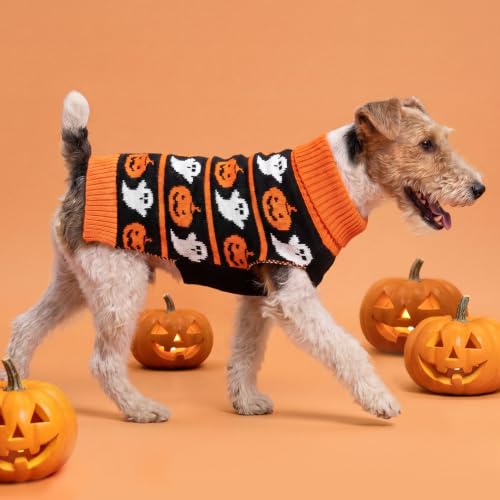 Dog Halloween Sweater for Small Dogs Knit Pet Outfit with Pumpkin (Large (11-19lbs) / 01#Halloween pumpkin)