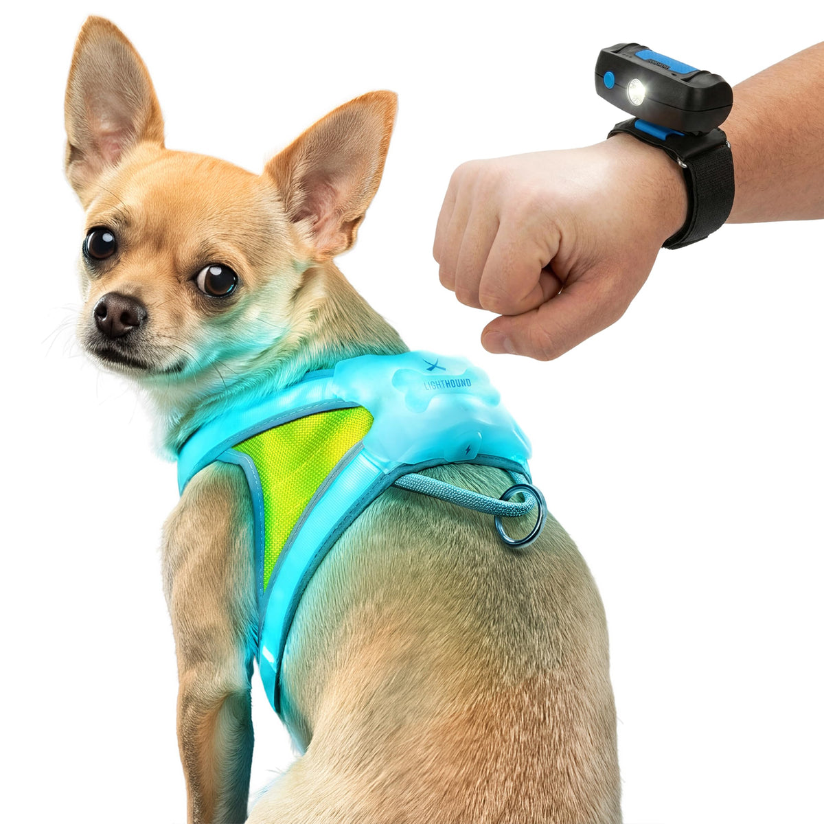 LightHound Light Up Reflective Dog Harness and Wrist Light (Small)
