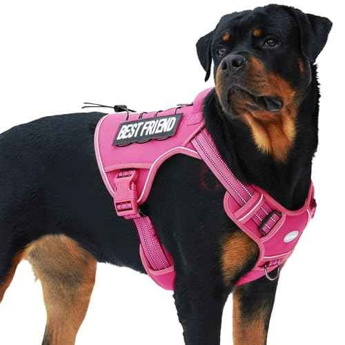 Tactical Dog Harness for Large Dogs (Rose Red / XL(Neck:20-31",Chest:26-42"),75-135 lbs)