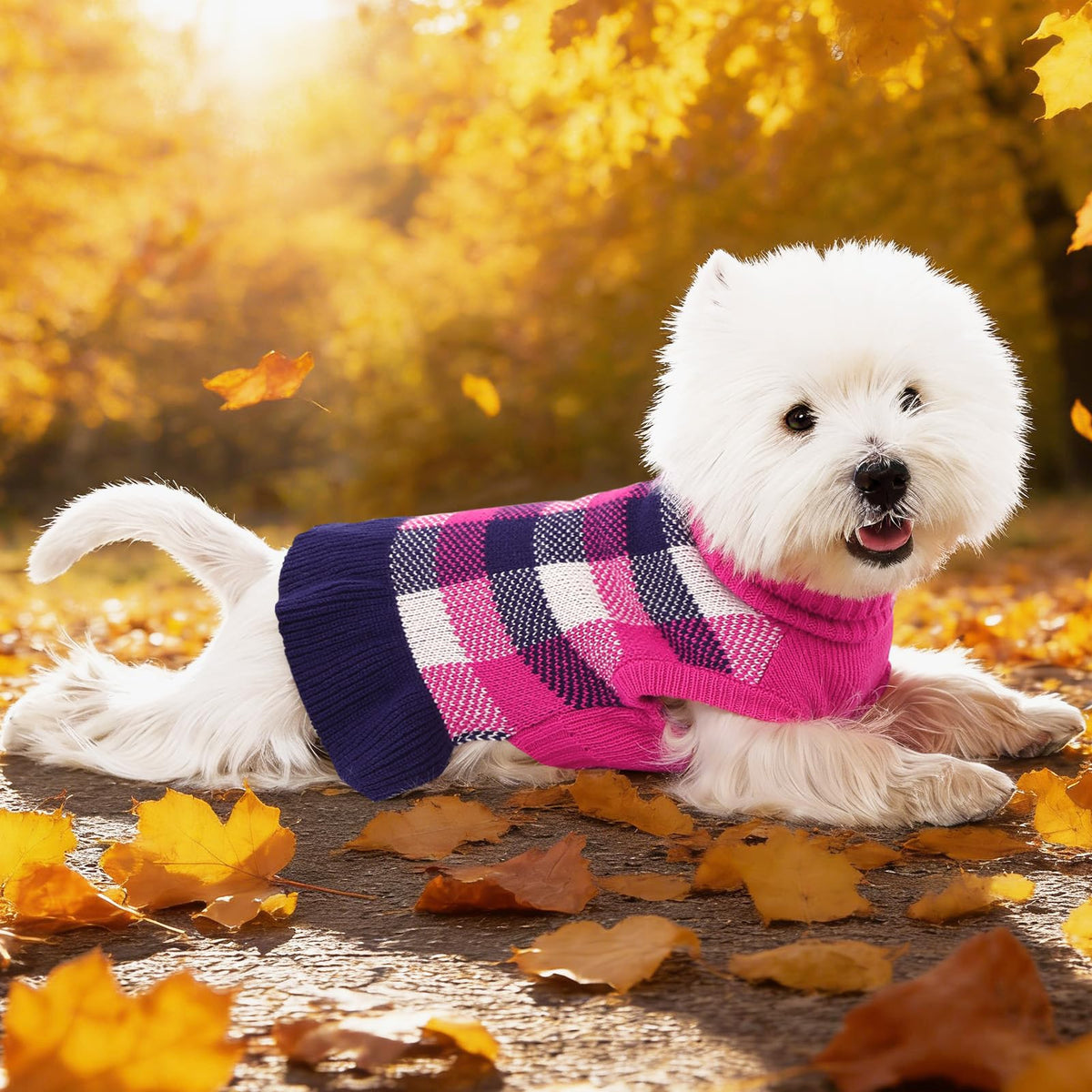 Dog Sweater Dress Plaid Knitwear for Medium Dogs Girl Christmas Clothes (Navy / Medium)