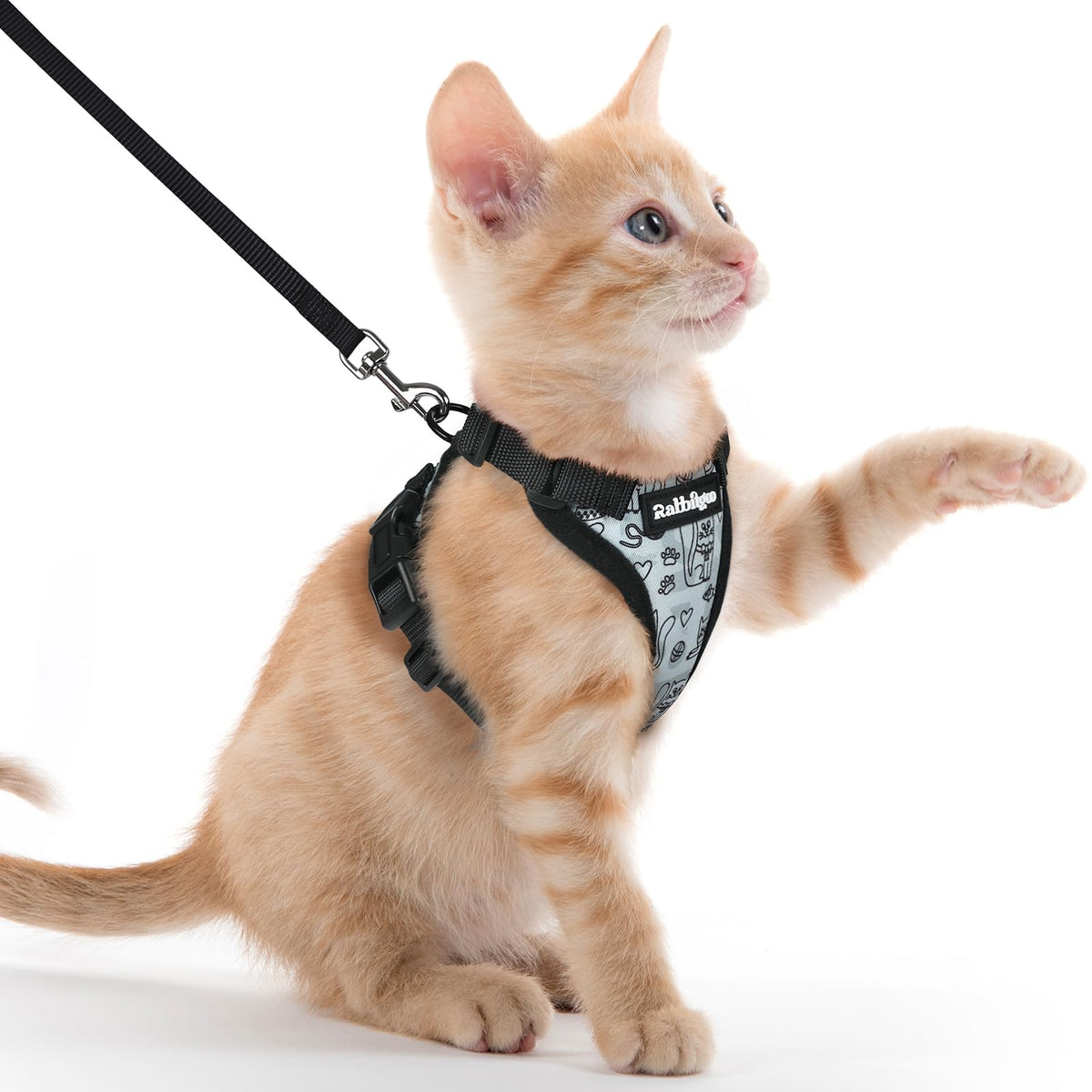 Cat Harness and Leash Set (Xxs / Doodle Gray)