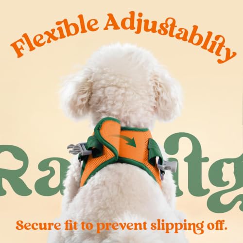 Dog Harness Small Sized and Leash Set (Orange & Dark Green / M (Chest: 16.0"-18.5"))