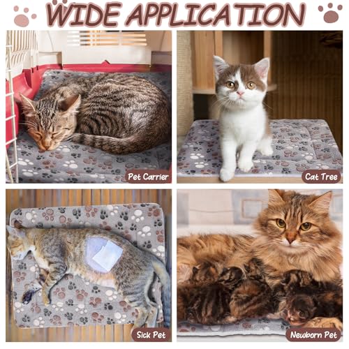 2 Pack Self Warming Cat Mat (Black / 22'' X 18'')