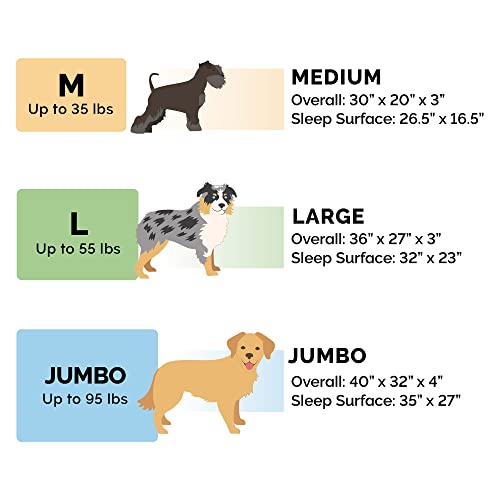 Orthopedic Dog Bed for Large Dogs w (Jumbo / Titanium)