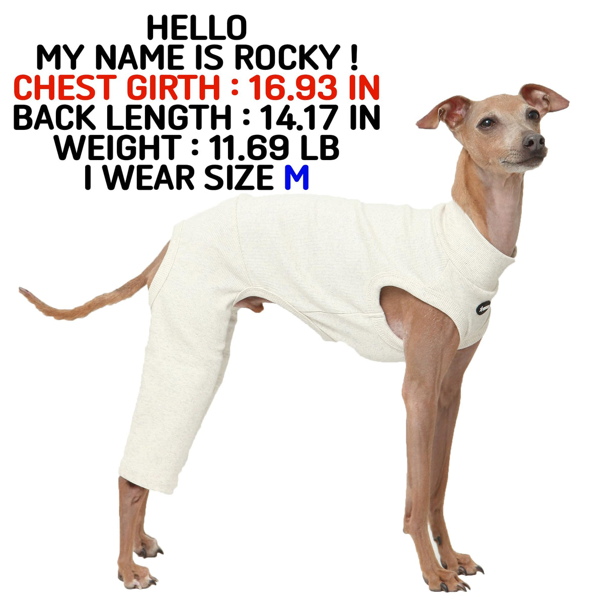 D Doggy Star Italian Greyhound Clothes High (M / COORDI OTAMEAL)