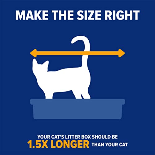 Rimmed Open Cat Litter Box (Pearl White/ Dark Gray / Standard)