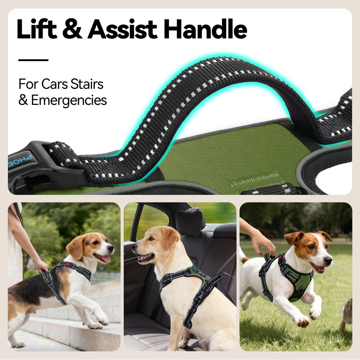 No Pull Dog Harness with Handle Front & Back Clip (Medium / Misty Green)