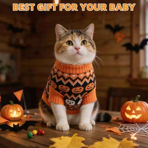 Halloween Cat Sweater for Cats Only (Orange / Large)