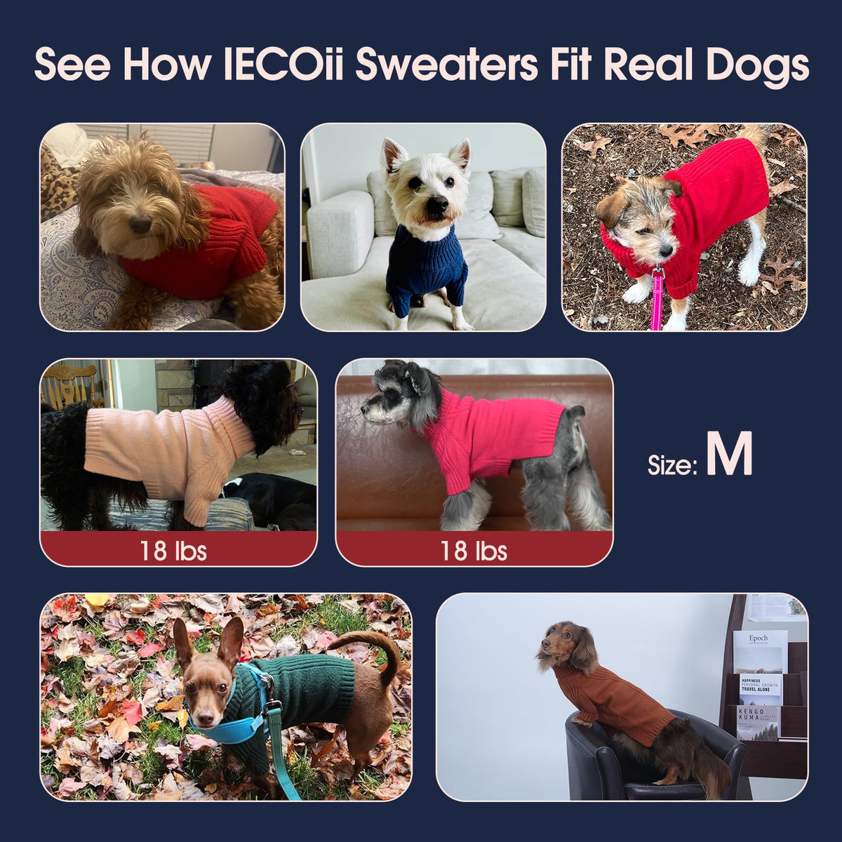 Turtleneck Dog Sweater (Peacock Blue / Medium)