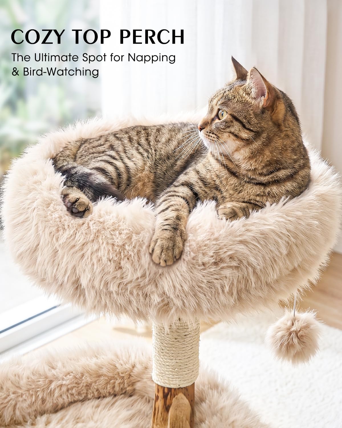 Solid Wood Cat Tree (Beige / Small)