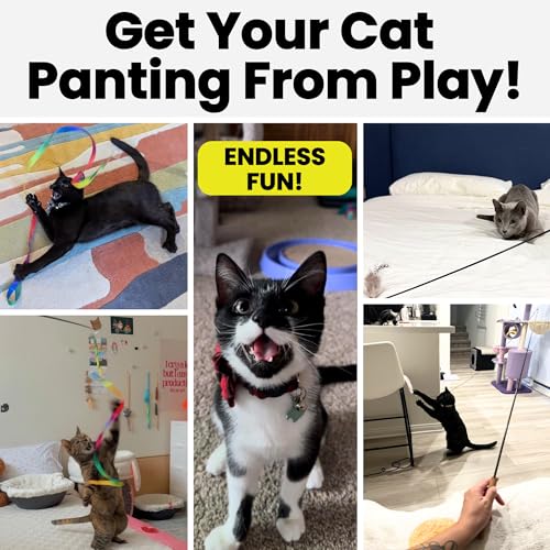 Forever Stick Durable Cat Wand Toy (Forever Stick and Extra Toys and Strings)