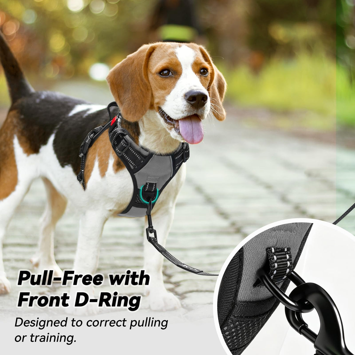 No Pull Dog Harness Medium with Front Clip & Neck Release Buckle (Medium / Grey)
