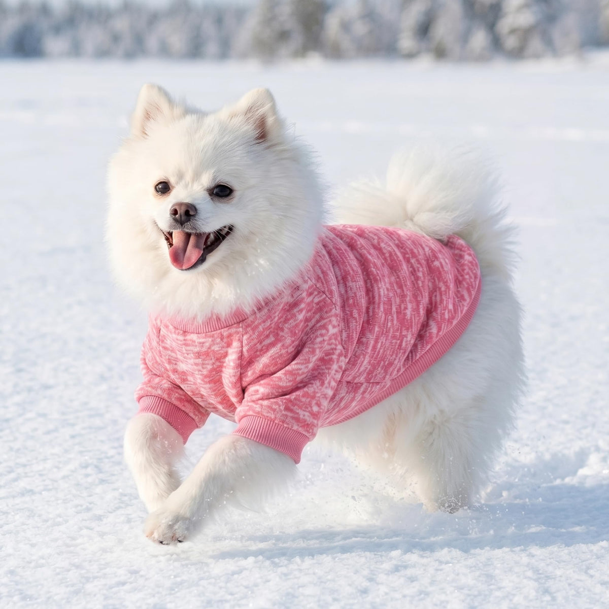 3 Pack Dog Sweaters for Small Dogs Girl Boy Winter Fleece Clothes Warm Soft Dog Sweatshirt Outfit for Dogs Cats Pet Apparel (Rose+Red+Pink / XS (Back: 9.8", Chest: 13.7", 3.5-5.5 lbs))