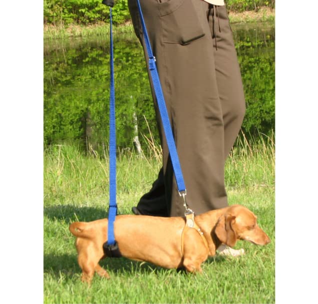 Dog Back Support IVDD Sling Harness (X-Small)