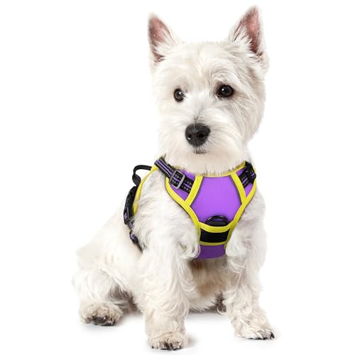 Dog Harness No Pull for Small Dogs with 2 Leash Clips (X-Small / Purple & Yellow)