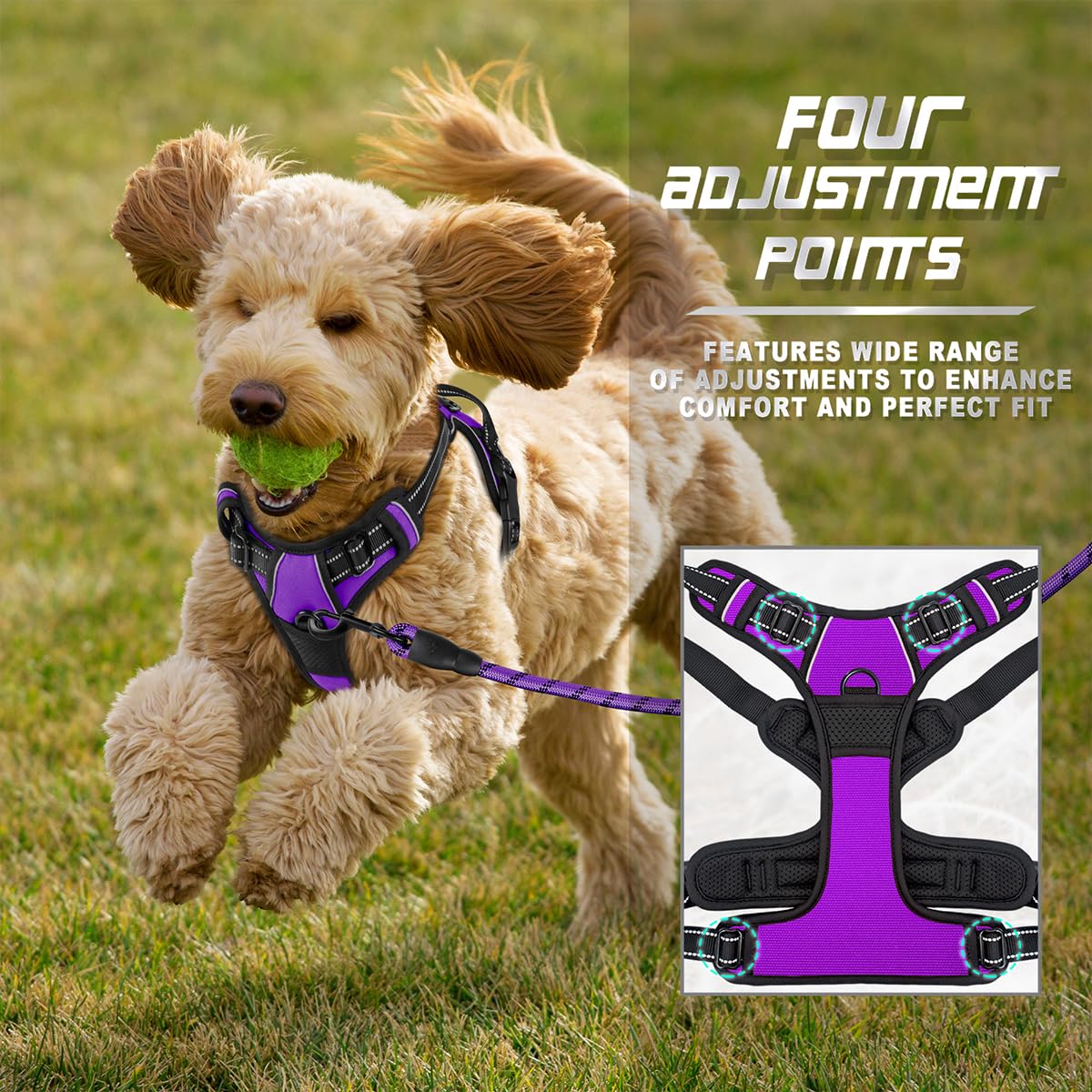 Dog Harness No Pull for Small Sized Dog Front Back Clips (X-Small(Chest:15.5-19.5”) / Purple)