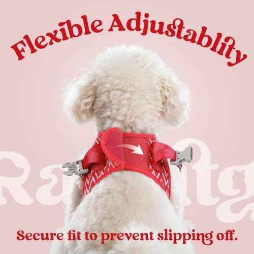 Dog Harness Small Sized and Leash Set (Red Wave / XS (Chest: 13.3"-15.5"))