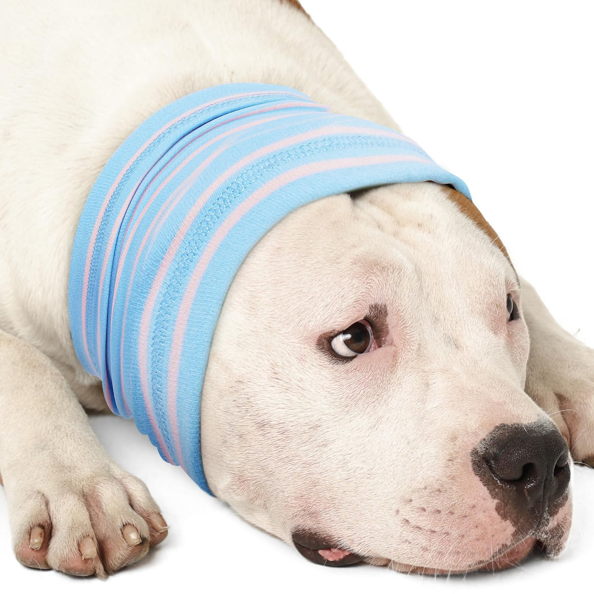 Calming Hoodie Dog Grooming Ear Cover Anxiety Relief (XL(Head Girth: 17.7in-29.5in) / BlueStriped)