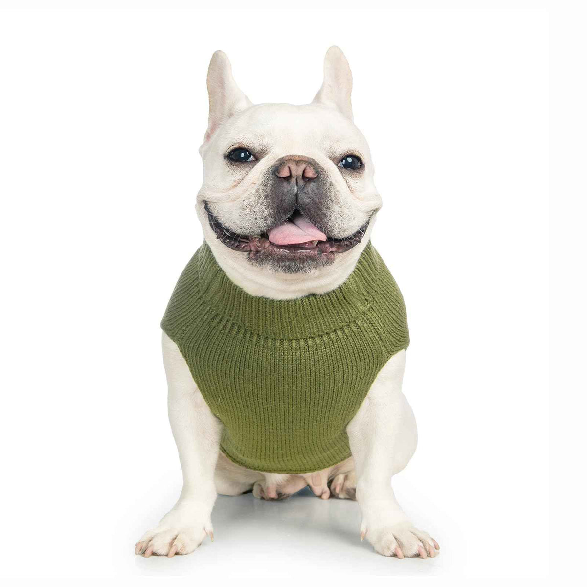 Cat Sweater Stretchy (Olive Green / XXL)
