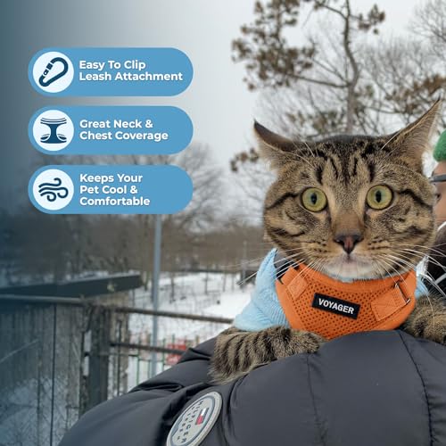 Voyager Step in Lock Cat Harness & Leash Set (Orange / XS (Chest: 13 - 16"))