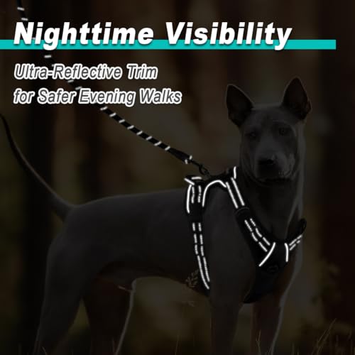 Dog Harness for Large Dog No Pull 2 Leash Clips Dog Vest (X-Large / Black)