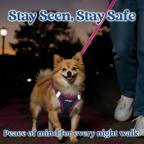 Dog Harness Small Sized and Leash Set (Navy Blue & Rose Red / M (Chest: 16.0"-18.5"))