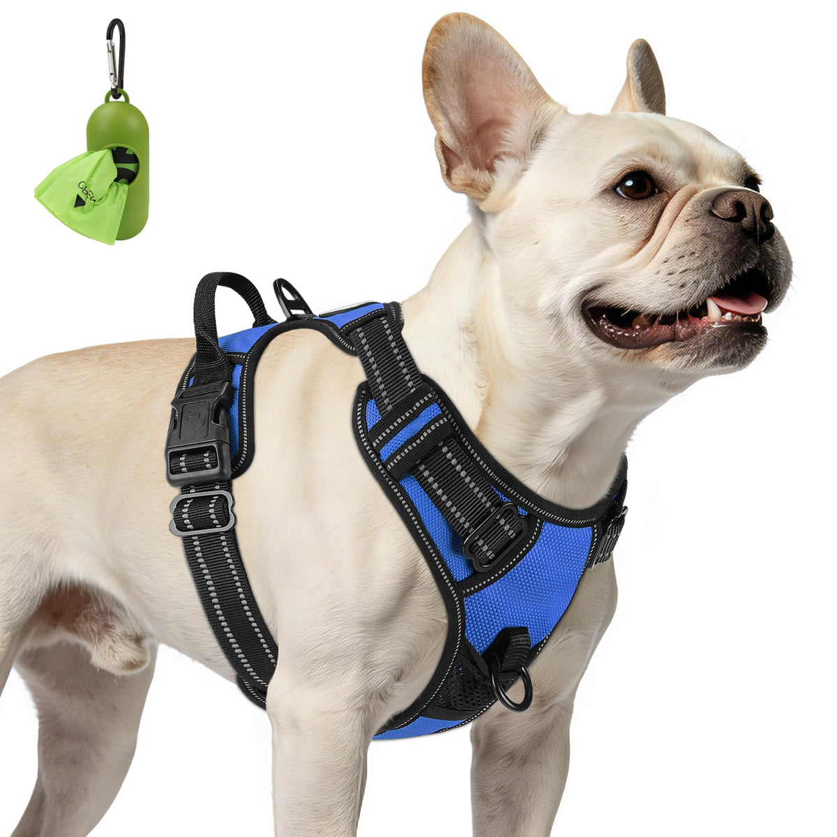 No Pull Dog Harness for Small Dogs (Small / Navy Blue)