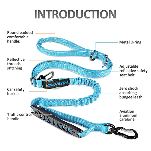 Multifunctional Dog Leash (Light Blue)