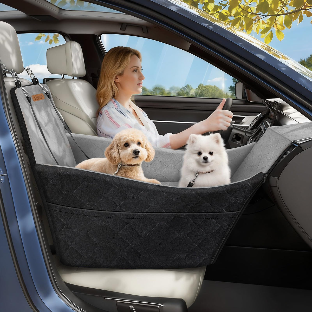 Elevated Dog Car Seat for Small and Medium Dogs Up to 35 lb (Black & Gray / Single Seat)