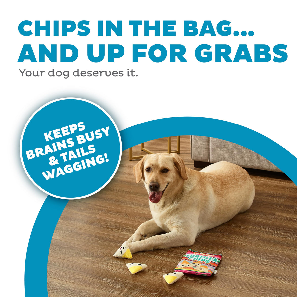 Snack Bag Tortilla Chips Puzzle Squeaky Dog Toys