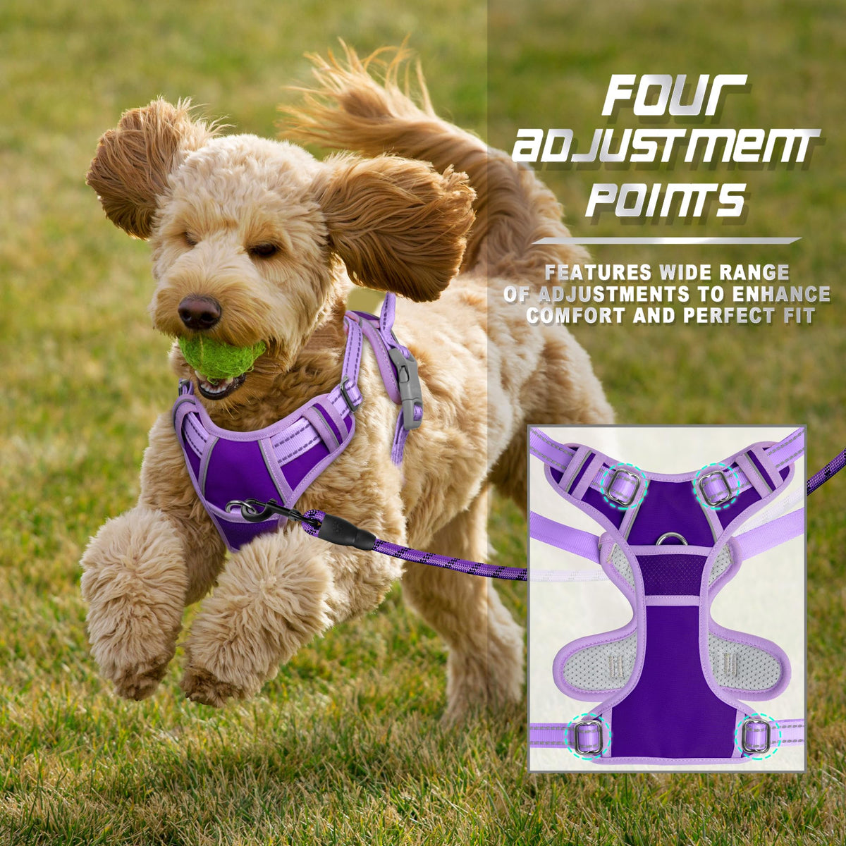 Dog Harness No Pull for Small Sized Dog Front Back Clips (X-Small(Chest:15.5-19.5”) / Violet Purple & Purple)