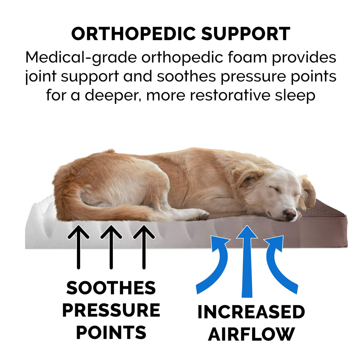 Orthopedic Dog Bed for Large (Large / Espresso)