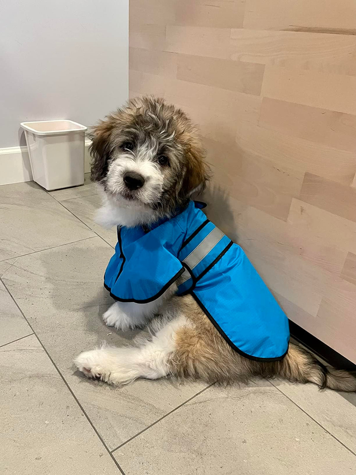 Dog Raincoat Reflective Waterproof Dog Rain Jacket with Hoodie Lightweight Rain Coat for Small Medium Large Dogs (Blue / Small)
