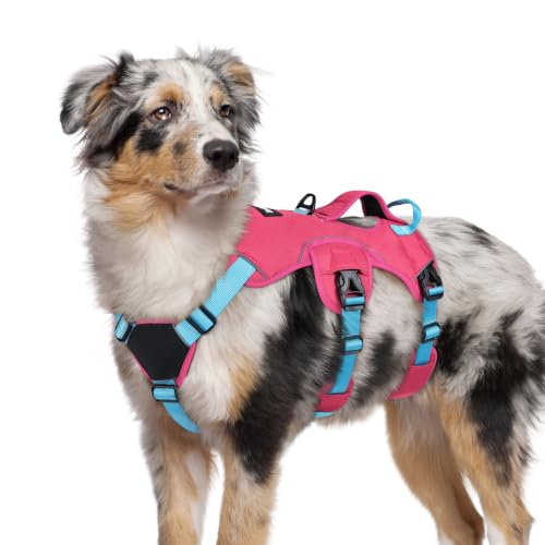 Escape Proof Dog Harness for Medium (Sky & Peach & Rose / Medium)