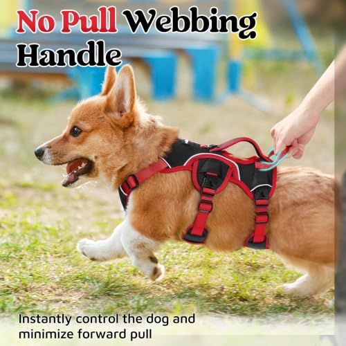Escape Proof Dog Harness for Small (Red & Black / Small)