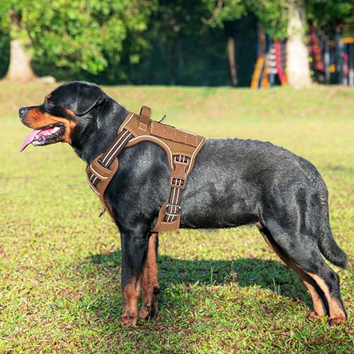 Tactical No Pull Dog Harness with Leash (Brown / X-Large)