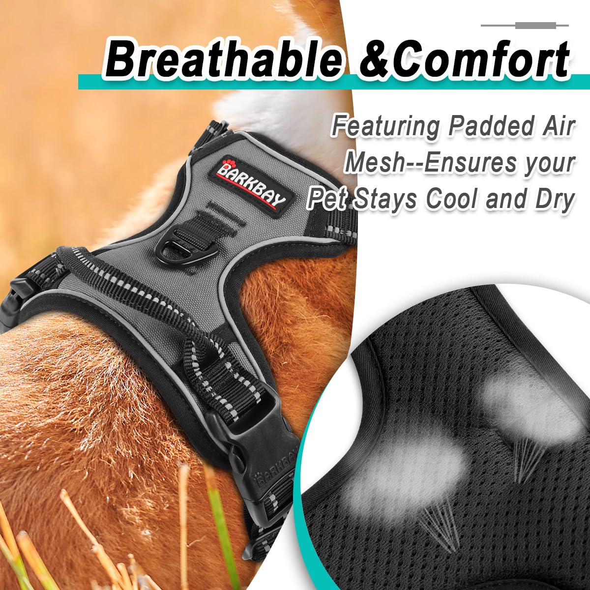 Dog Harness for Large Dog No Pull 2 Leash Clips Dog Vest (Dark Grey / Large)