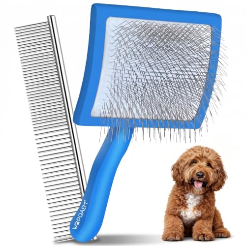 Slicker Brush for Dogs (Blue)