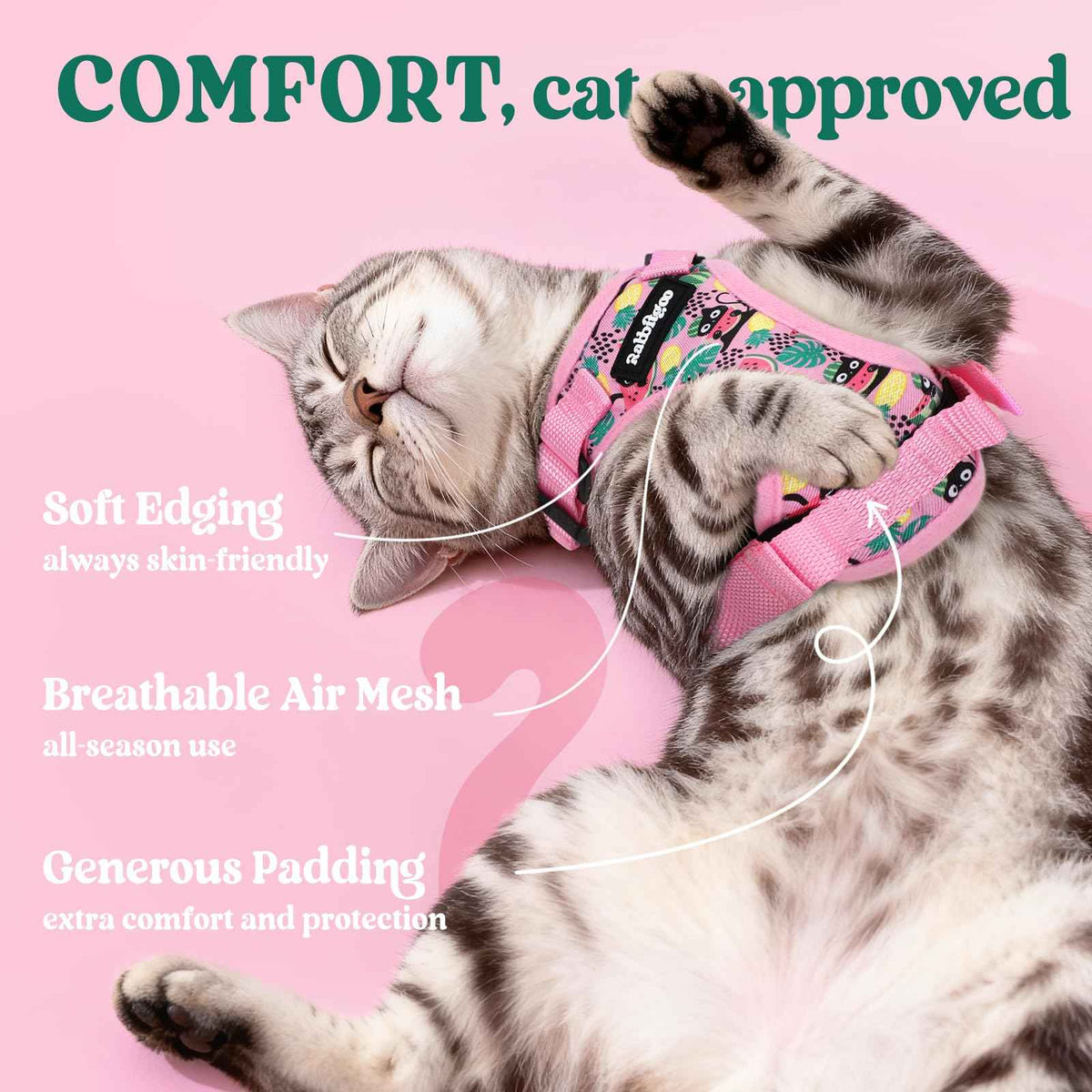 Cat Harness and Leash Set (Xxs / Melon Munch)