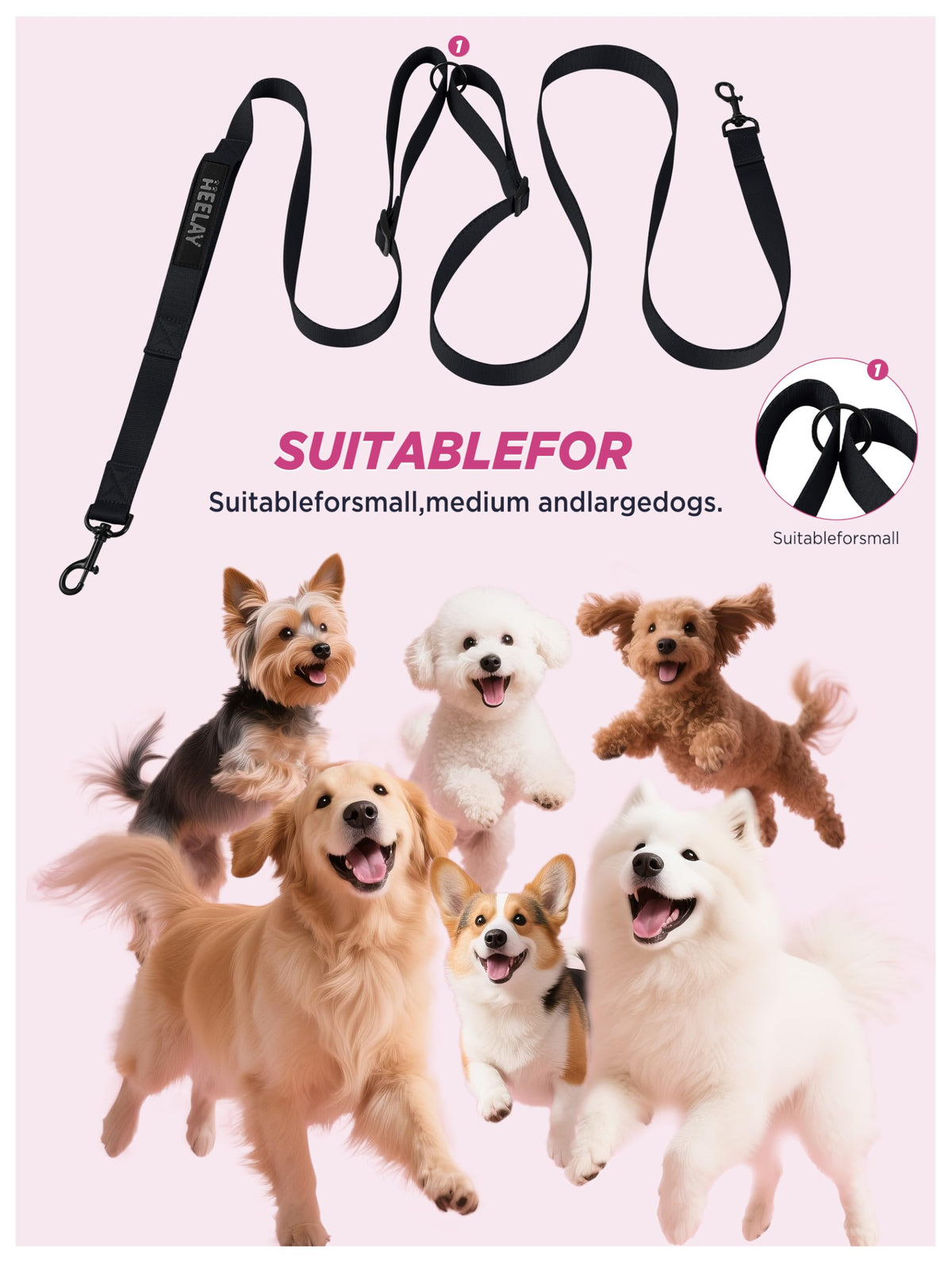 Hands Free Dog Leash (3M Black)