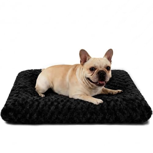 Dog Bed Medium Size (Black / 29"L x 21"W x 3"Th)