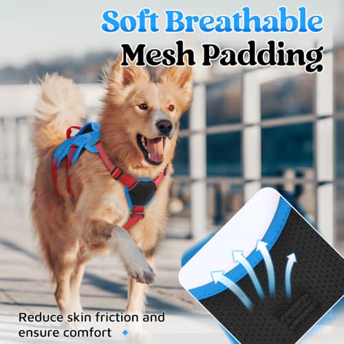 Escape Proof Dog Harness for X (Red & Blue / X-Large)