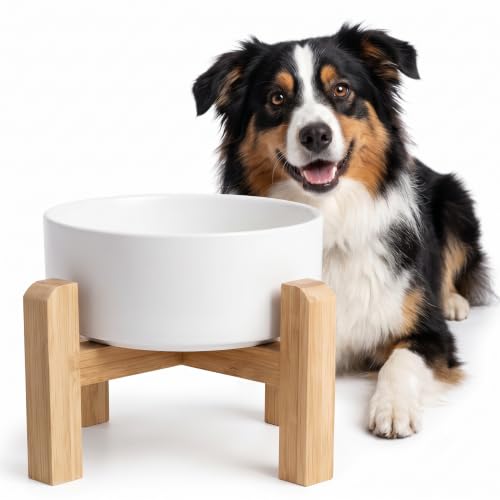 Elevated Ceramic Dog Bowl with Bamboo Stand (Gray Blue / 7.6Cup)