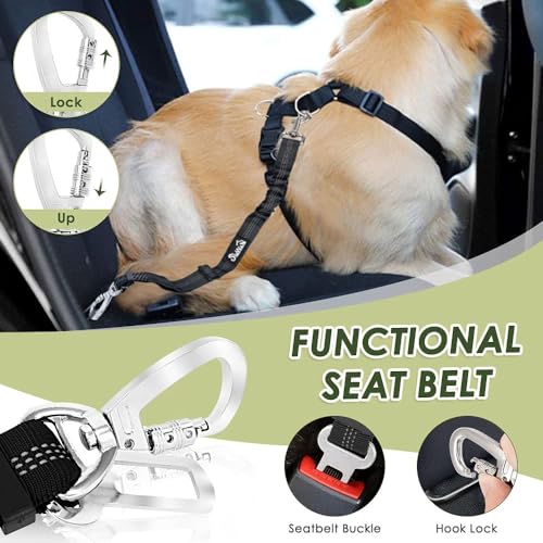 Dog Seat Belt and Harness for Car (Fuchsia / Medium)