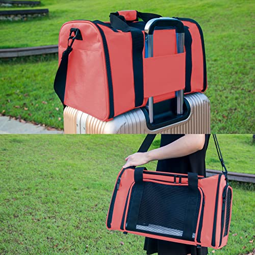 Soft Sided Carrier for Small Medium Cats Dogs (20.0"L x 13.0"W x 13.0"H / Watermelon)