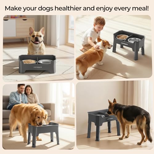 Mess Proof Elevated Dog Bowls (Grey / Medium)