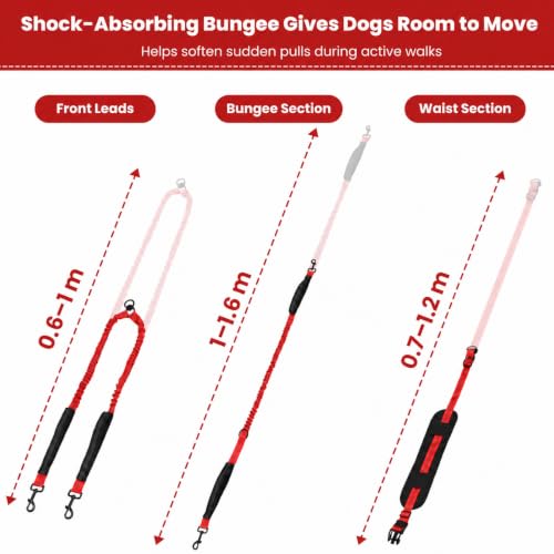 Hands Free Double Dog Leash