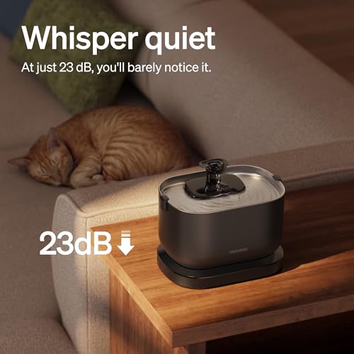 Cat Water Fountain (Black / Cordless fountain)