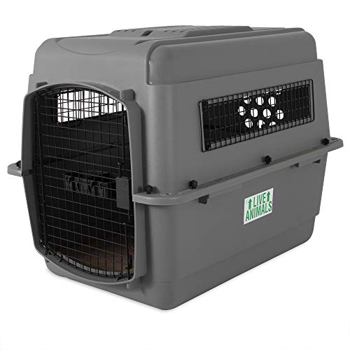Sky Kennel Air Travel (32 Inch / Kennel Only)