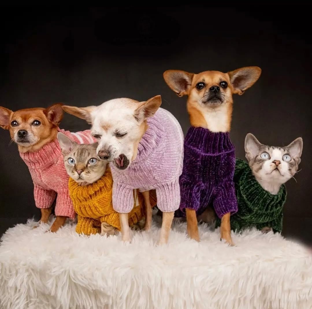 Cozy Soft Chenille Classy Striped Dog Sweater in Dark Plum (22 inch / Dark Plum)